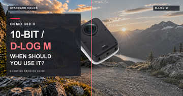 Osmo 360 II D-Log M guide cover with the camera between standard and flat colour treatments in an alpine scene