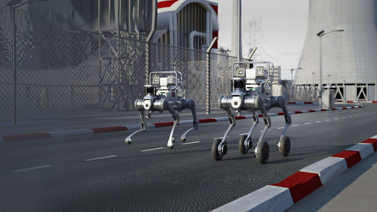 Unitree B2 vs B2-W: Which Mobility Platform Fits the Route?
