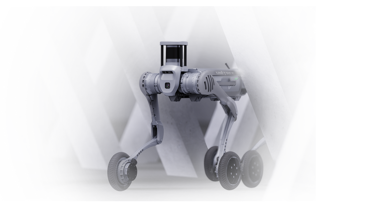 Long-Range & Mixed-Terrain Mobility