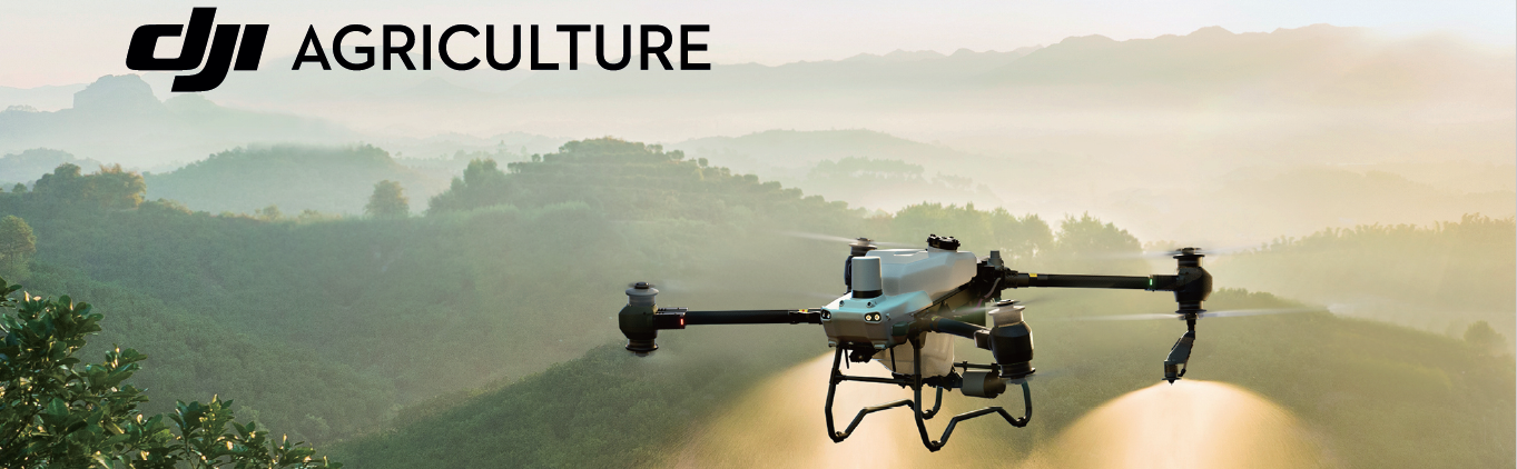 collection-banner-image