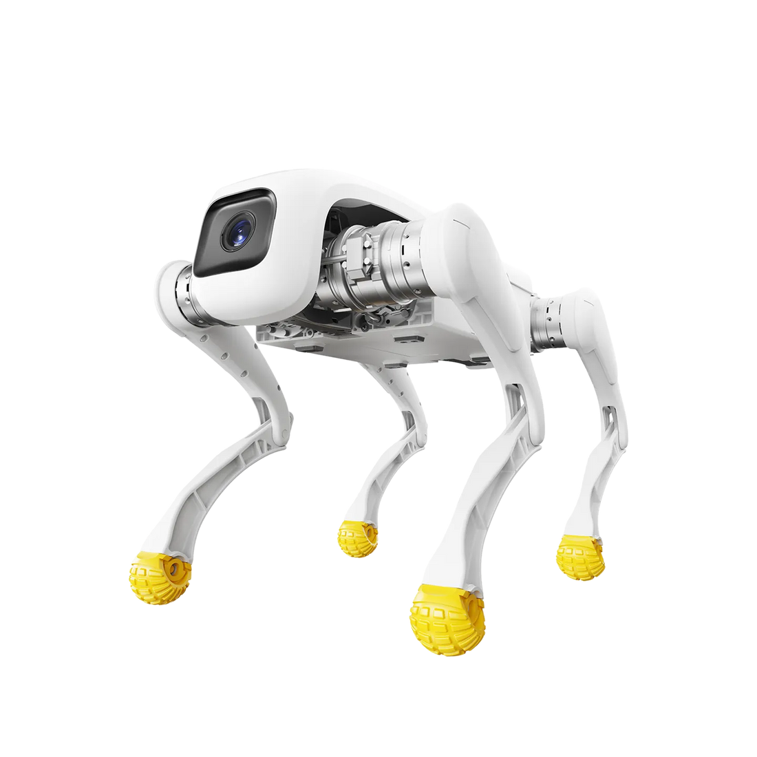 White AGIBOT D1 Edu quadruped robot with yellow feet and camera head, on black background.