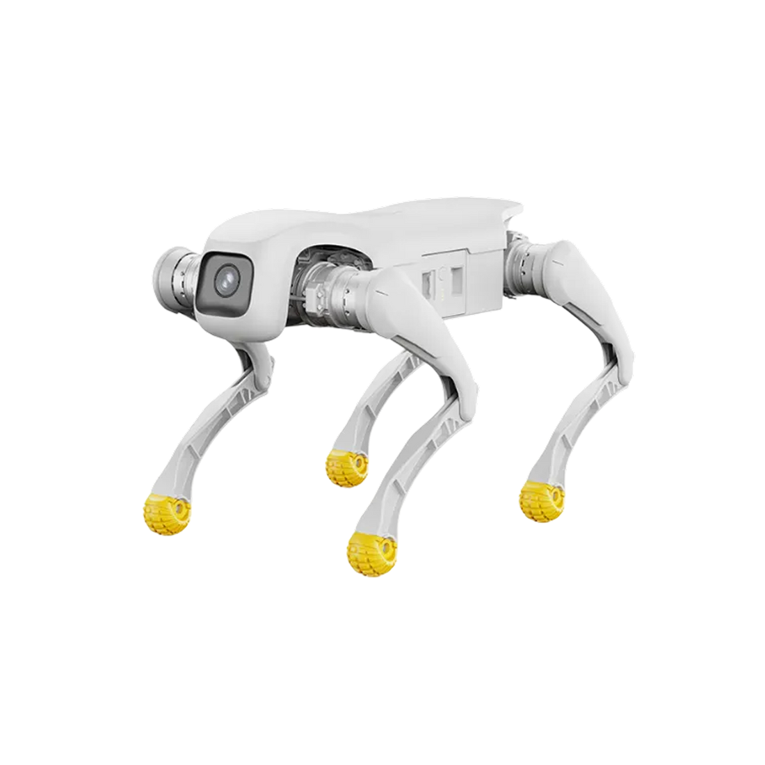 Agibot D1 Pro four-legged robot with camera, on black background.