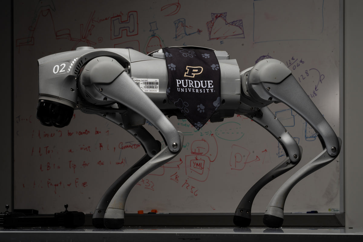Education & Robotics Development