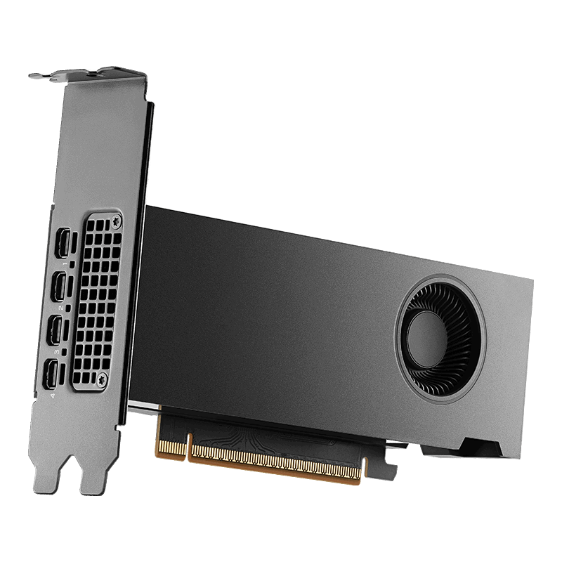 PNY NVIDIA RTX PRO 2000 Blackwell 16GB graphics card, three-quarter view