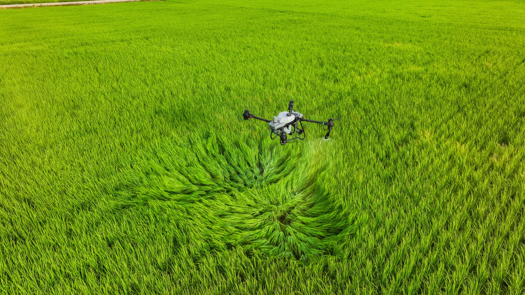 Agricultural field workflow viewed from above
