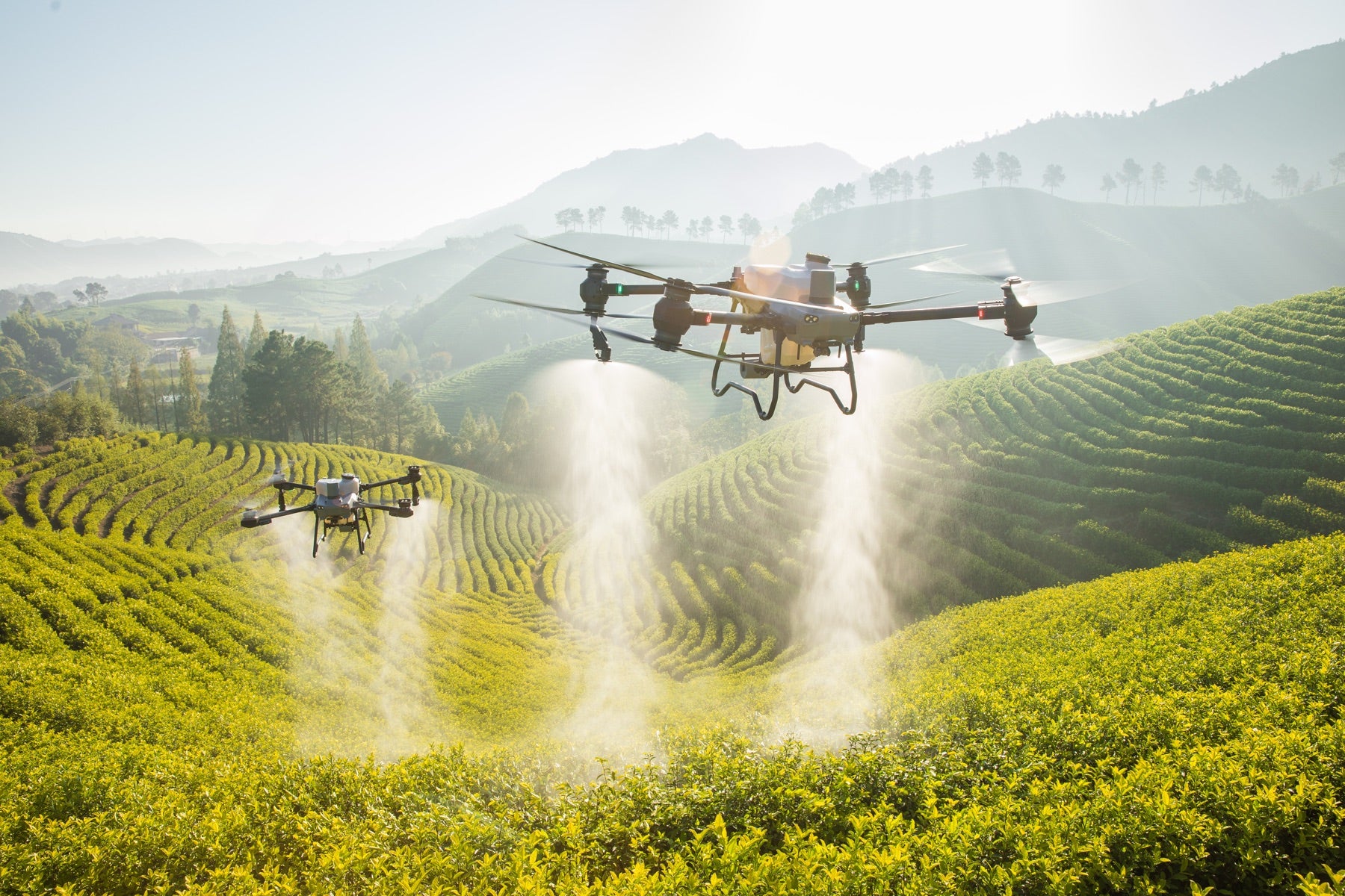 DJI AGRAS agriculture drones prepared for field deployment